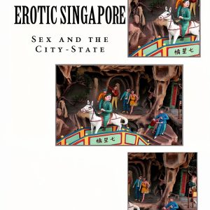 Singapore Travel Guide Kindle Edition English Language-0