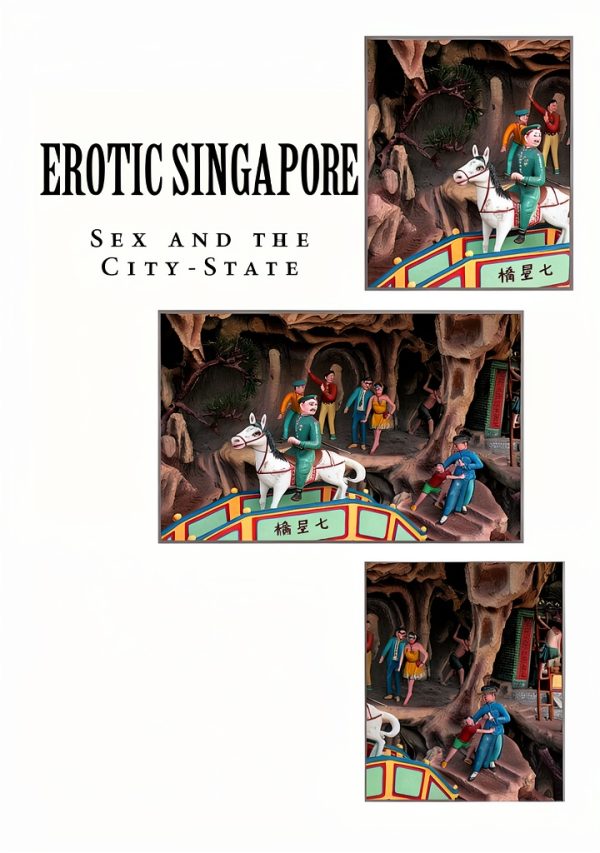 Singapore Travel Guide Kindle Edition English Language-0