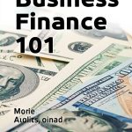 NutriNiche Financial Auditing Kindle eBook English 55 Pages-0