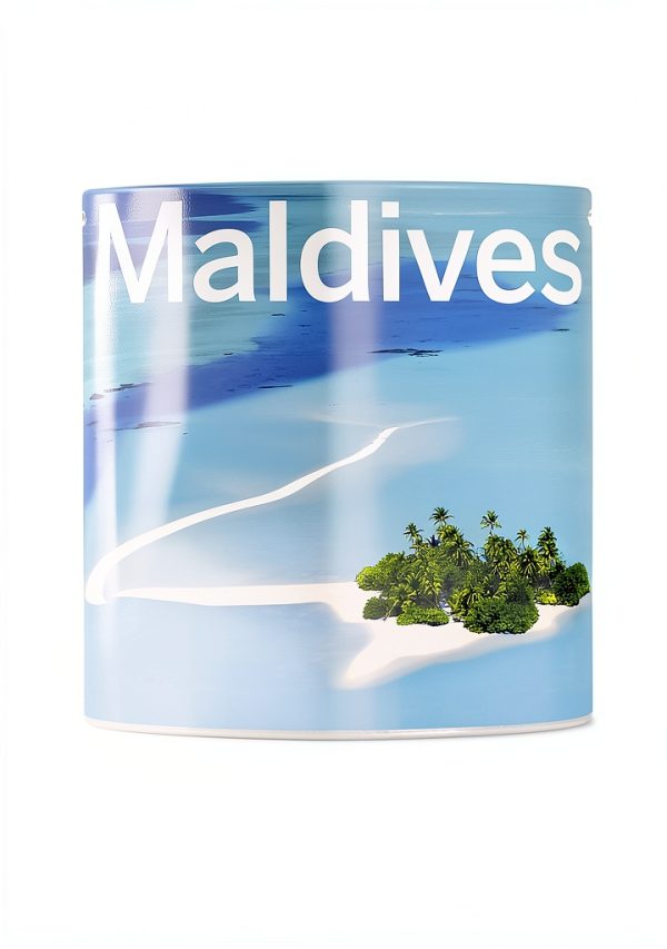 Lonely Planet Maldives Travel Guide Kindle Edition English-0