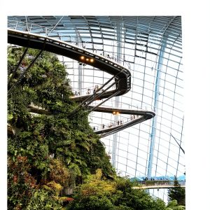 Lonely Planet Singapore Travel Guide Kindle Edition 2024-0