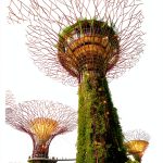 Singapore Travel Guide Kindle English eBook 438 Pages-0