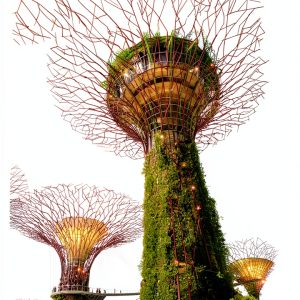 Singapore Travel Guide Kindle English eBook 438 Pages-0