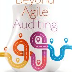 IT Revolution Financial Auditing Book English Kindle Edition-0