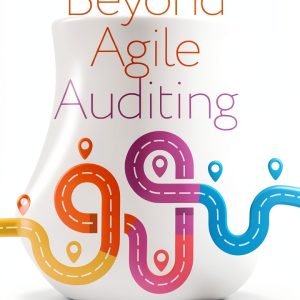 IT Revolution Financial Auditing Book English Kindle Edition-0