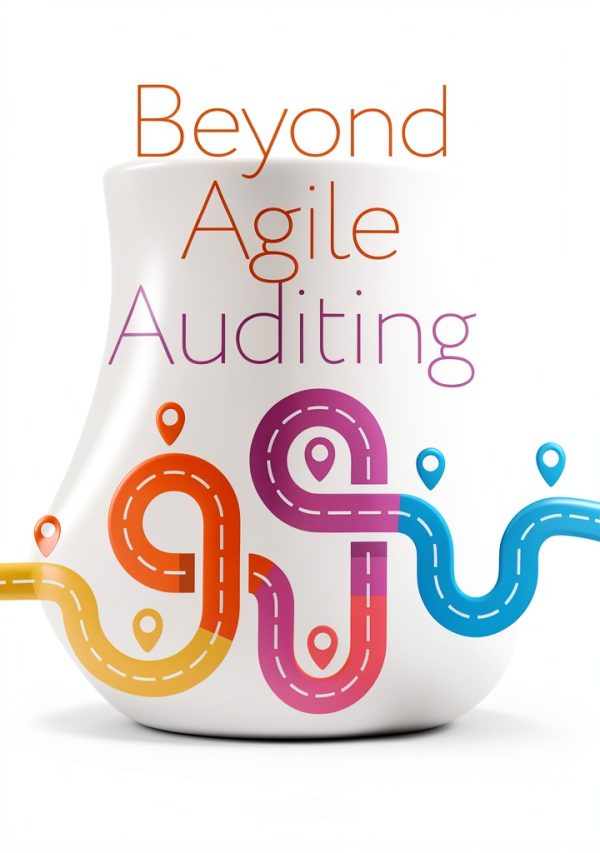 IT Revolution Financial Auditing Book English Kindle Edition-0