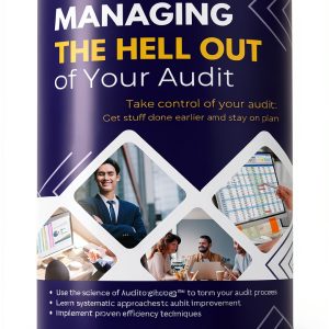 Financial Auditing Kindle eBook 2025 Edition-0